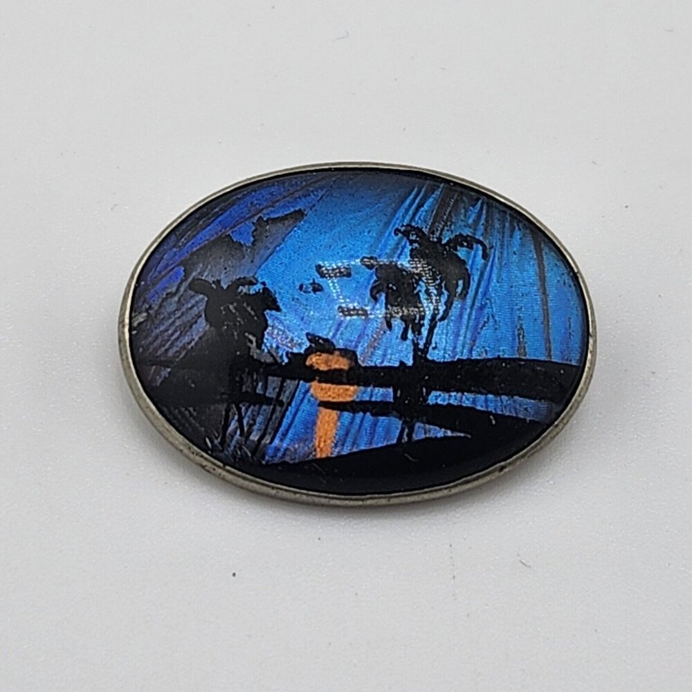 vintage iridescent Butterfly Wing‎ Sunset Brooch